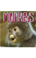 Monkeys