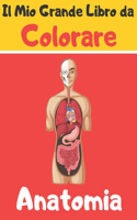 Il Mio Grande Libro da Colorare Anatomia