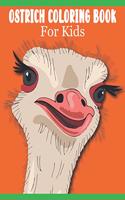 Ostrich Coloring Book For Kids