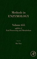 Mrna 3' End Processing and Metabolism: Volume 655