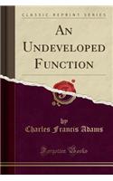 An Undeveloped Function (Classic Reprint)