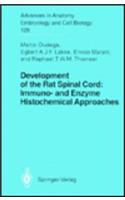 Development of the Rat Spinal Cord: Immuno- And Enzyme Histochemical Approaches(Advances in Anatomy Embryology and Cell Biology; 129)