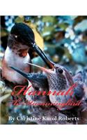 Hannah the Hummingbird