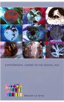 Experimental Cinema in the Digital Age
