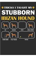 Ibizan Hound Journal