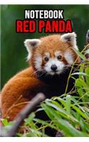 Red Panda Notebook: Lovely Journal / Diary / Notepad, For Kids and Adults Cool To Write In (Lined, 6 x 9)