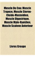 Muscle Du Cou: Muscle Trapze, Muscle Sterno-Clido-Mastodien, Muscle Digastrique, Muscle Mylo-Hyodien, Muscle Scalne Antrieur(French)