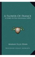 Flower Of France: A Story Of Old Louisiana (1894)