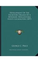 Development Of The Excretory Organs Of A Myxinoid, Bdellostoma Stouti Lockington (1897)