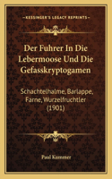 Fuhrer In Die Lebermoose Und Die Gefasskryptogamen