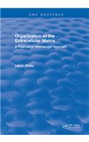 Organization of the Extracellular Matrix