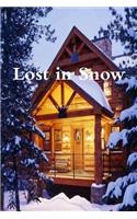 Lost in Snow
