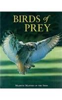 Birds of Prey: Majestic Masters of the Skies