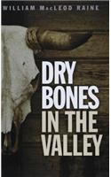 Dry Bones In The Valley