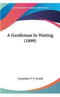Gentleman In Waiting (1899)