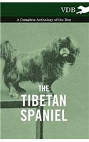 The Tibetan Spaniel - A Complete Anthology of the Dog: (English)