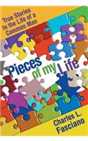 Pieces of My Life: True Stories in the Life of a Common Man: True Stories in the Life of a Common Man