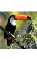 South American Rainforest Animals
