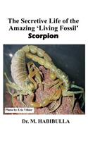The Secretive Life of the Amazing 'Living Fossil' Scorpion