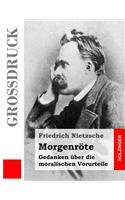 Morgenröte (Großdruck): Gedanken über die moralischen Vorurteile