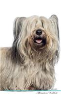Skye Terrier Affirmations Workbook Skye Terrier Presents