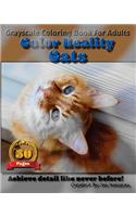 Cats - Color Reality