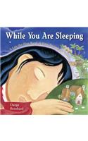 While You Are Sleeping: A Lift-The-Flap Book of Time Around the World