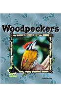 Woodpeckers