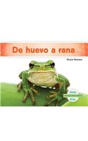 de Huevo a Rana (Becoming a Frog ) (Spanish Version)
