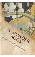 A Wonder Book