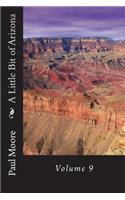 A Little Bit of Arizona: Volume 9(9 Arizona)
