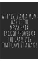 Why Yes, I Am a Mom. Was It the Messy Hair, Lack of Shower or the Crazy Eyes That Gave It Away