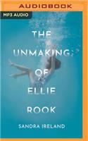 Unmaking of Ellie Rook