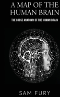 Map of the Human Brain