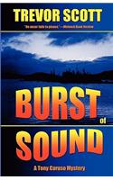 Burst of Sound