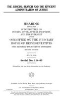 The judicial branch and the efficient administration of justice