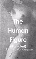 Human Figure