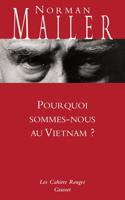 Pourquoi sommes-nous au Vietnam?
