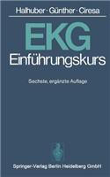 Ekg-Einführungskurs