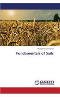 Fundamentals of Soils