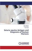Setaria equina Antigen and Diagnosis of Human Filariasis