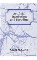 Artificial Incubating and Brooding