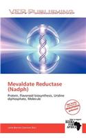 Mevaldate Reductase (Nadph)