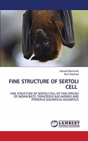 Fine Structure of Sertoli Cell