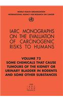 Some Chemicals That Cause Tumours of the Kidney or Urinary Bladder in Rodents and Some Other Substances: (IARC Monographs on the Evaluation of the Carcinogenic Risks)