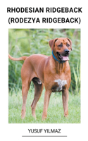 Rhodesian Ridgeback (Rodezya Ridgeback)