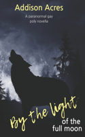 By The Light Of The Full Moon