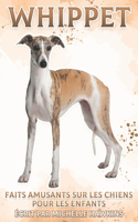 Whippet