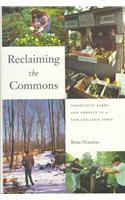 Reclaiming the Commons