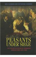 Peasants under Siege
